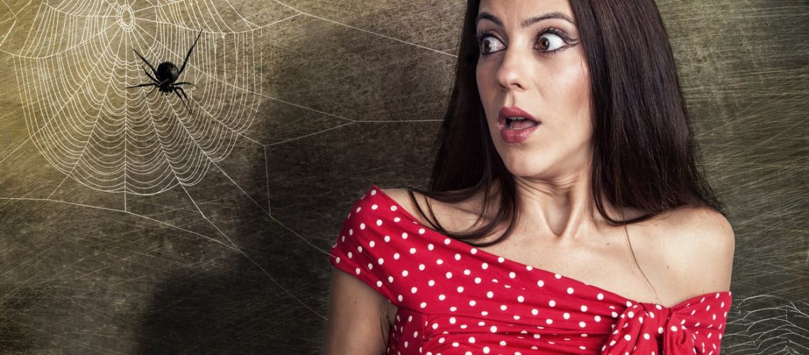 Arachnophobie :  pourquoi cette peur des araignées ? que faire ?
